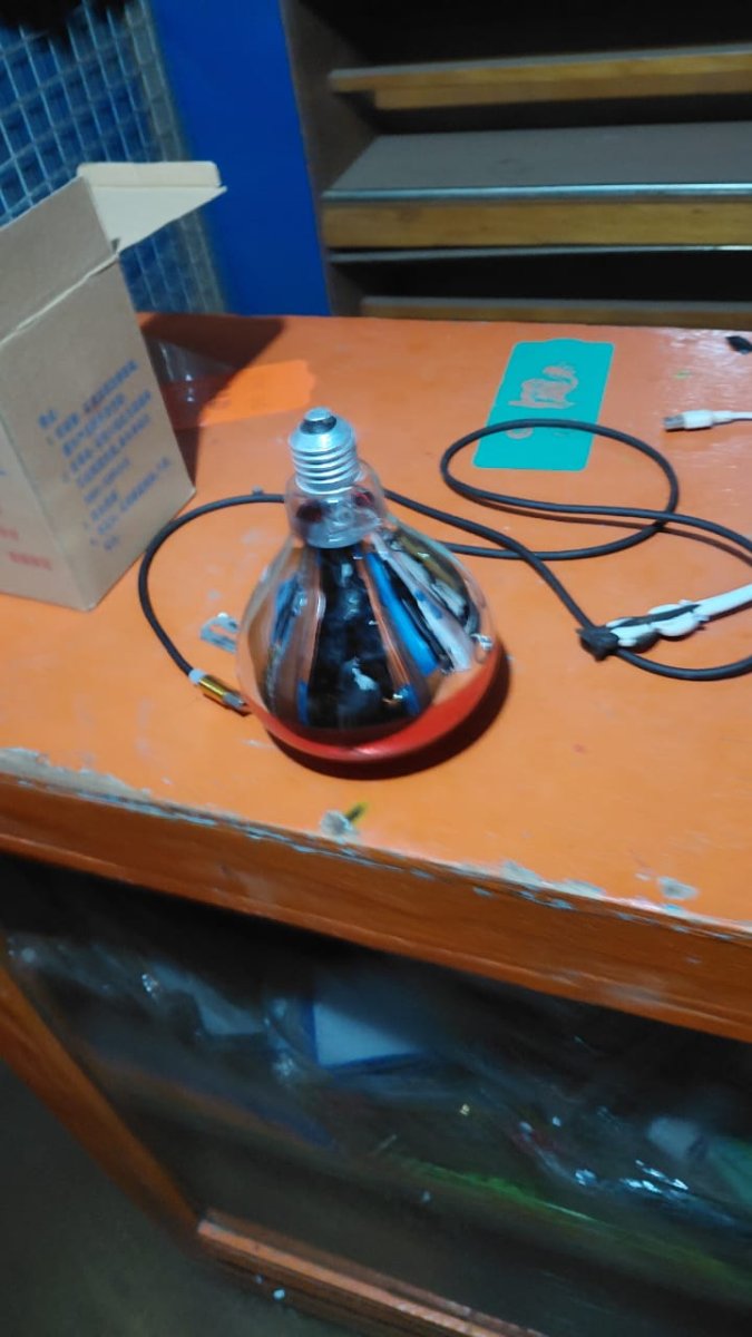 Ampoules chauffante
