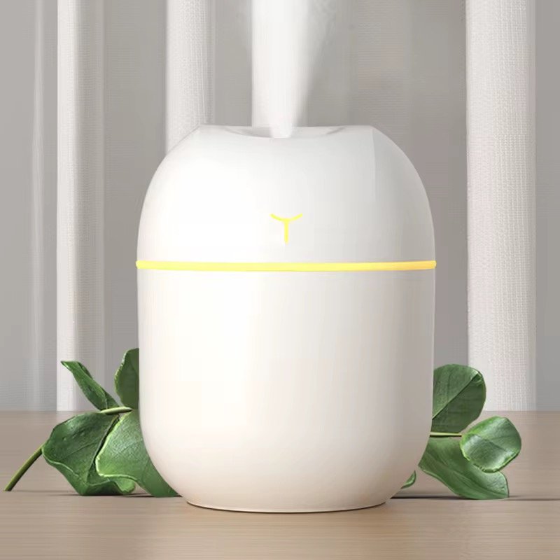 Mini diffuseur