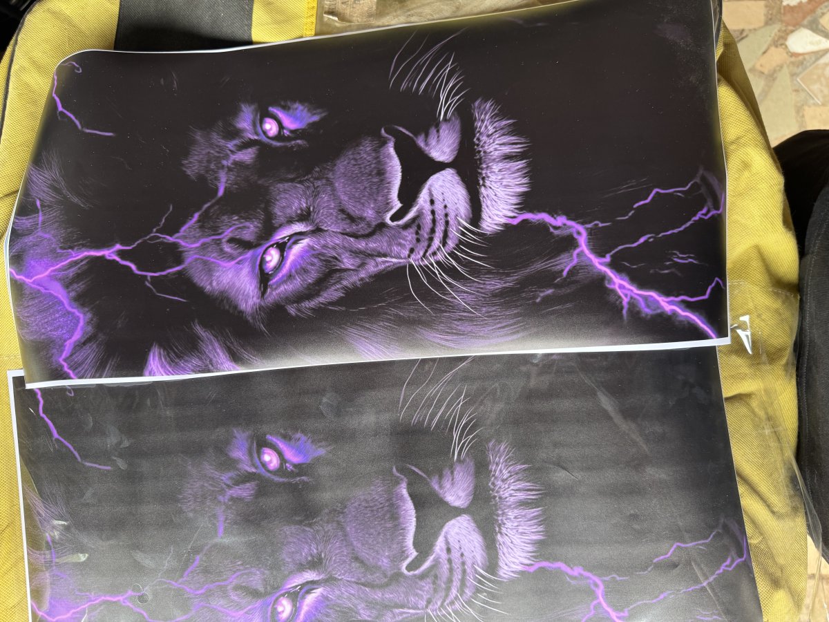 Autocollant de pilier de porte de voiture en PVC imperméable et écologique de haute qualité de la marque Changyuanrong, design animal 3D, 25x50cm, pour vitre de voiture