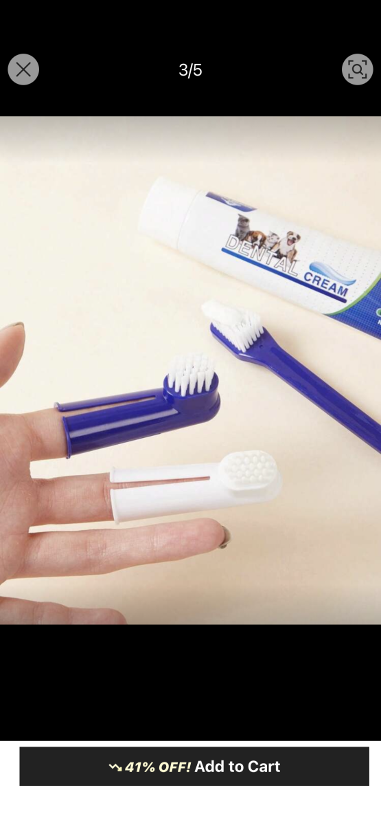 Brosse a dents chien et chats