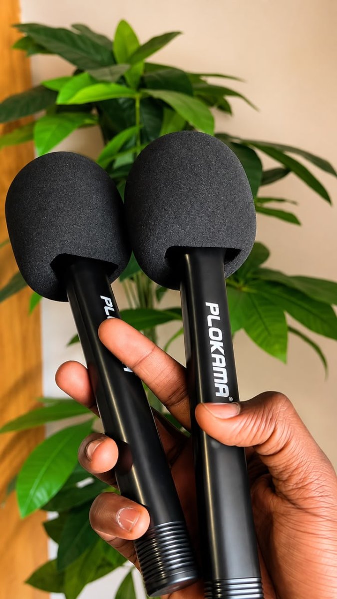 KIT DE 2 MICROPHONES SANS FIL PLAMA WM - 60