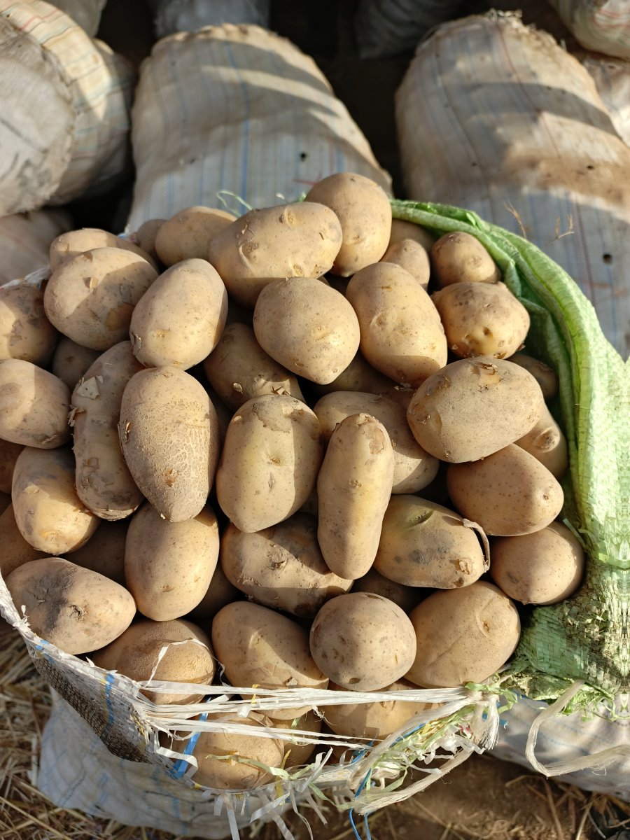 La patate et la pomme de terre 🥔🥔🥔