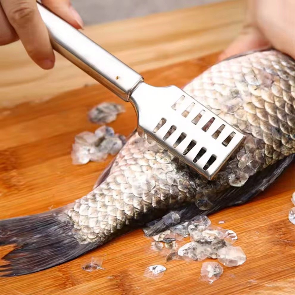 Écailleuse à poisson en acier inoxydable