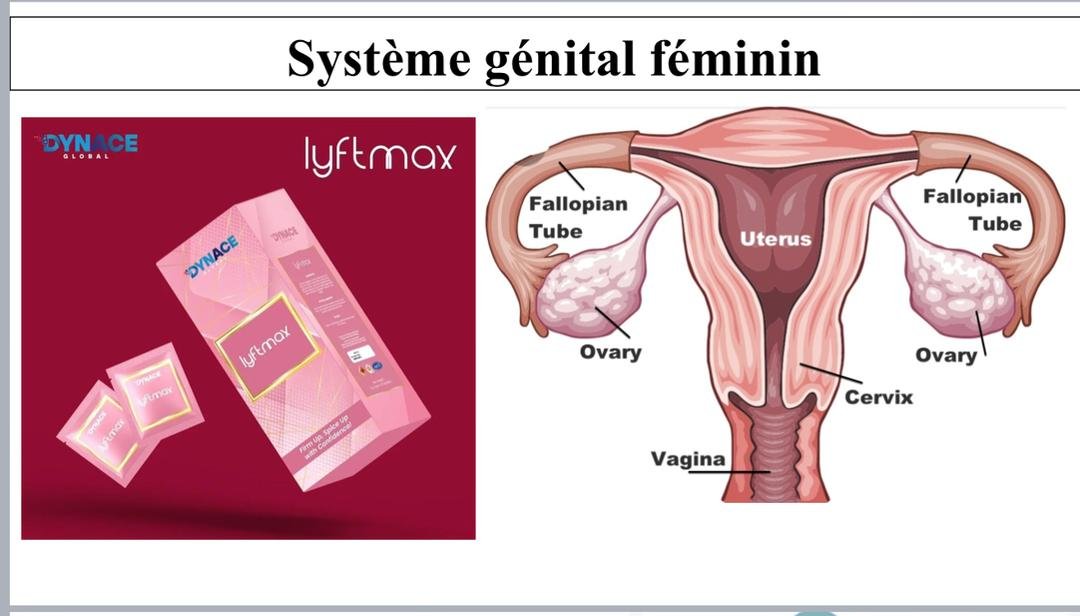 Lyftmax