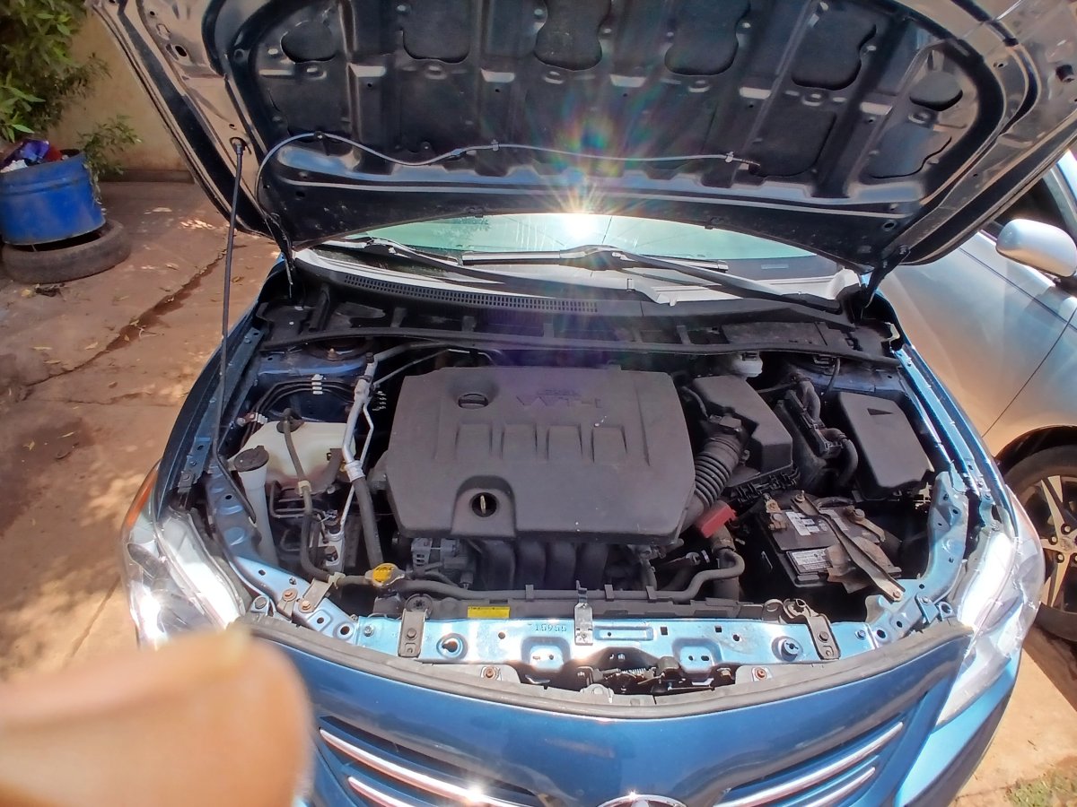 Corolla Le