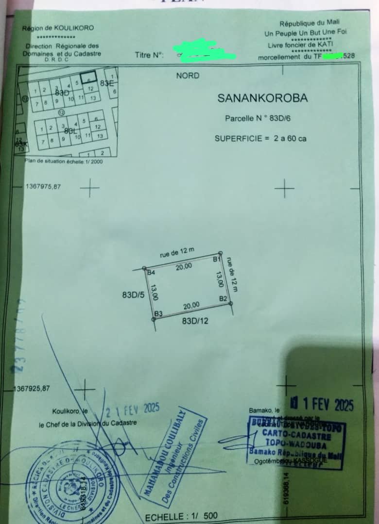 BON PLAN À SANANKOROBA en T.F 🔥🚨