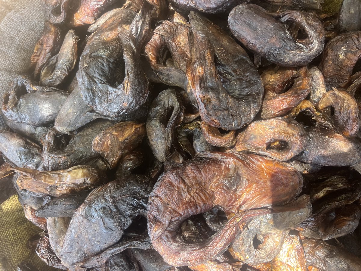 Poisson fumé silure