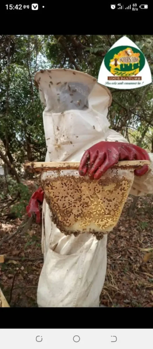Des combinaisons d'apiculture