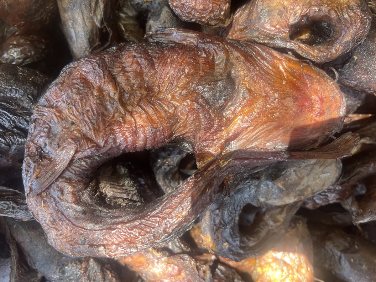 Poisson fumé silure