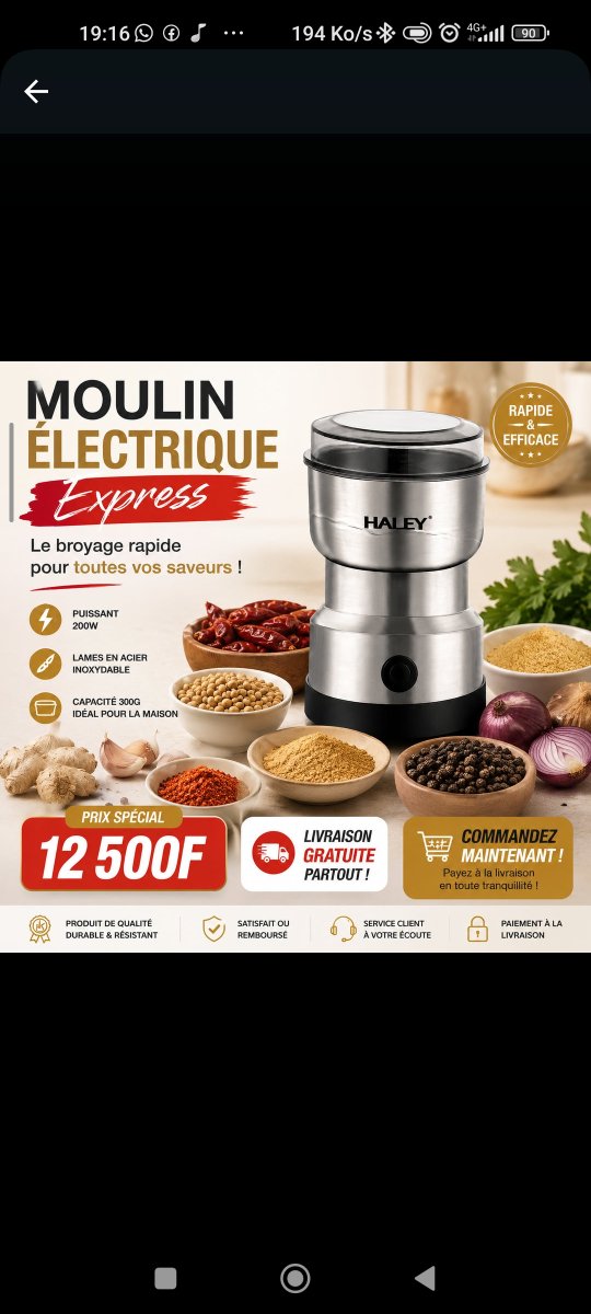 Moulin électrique