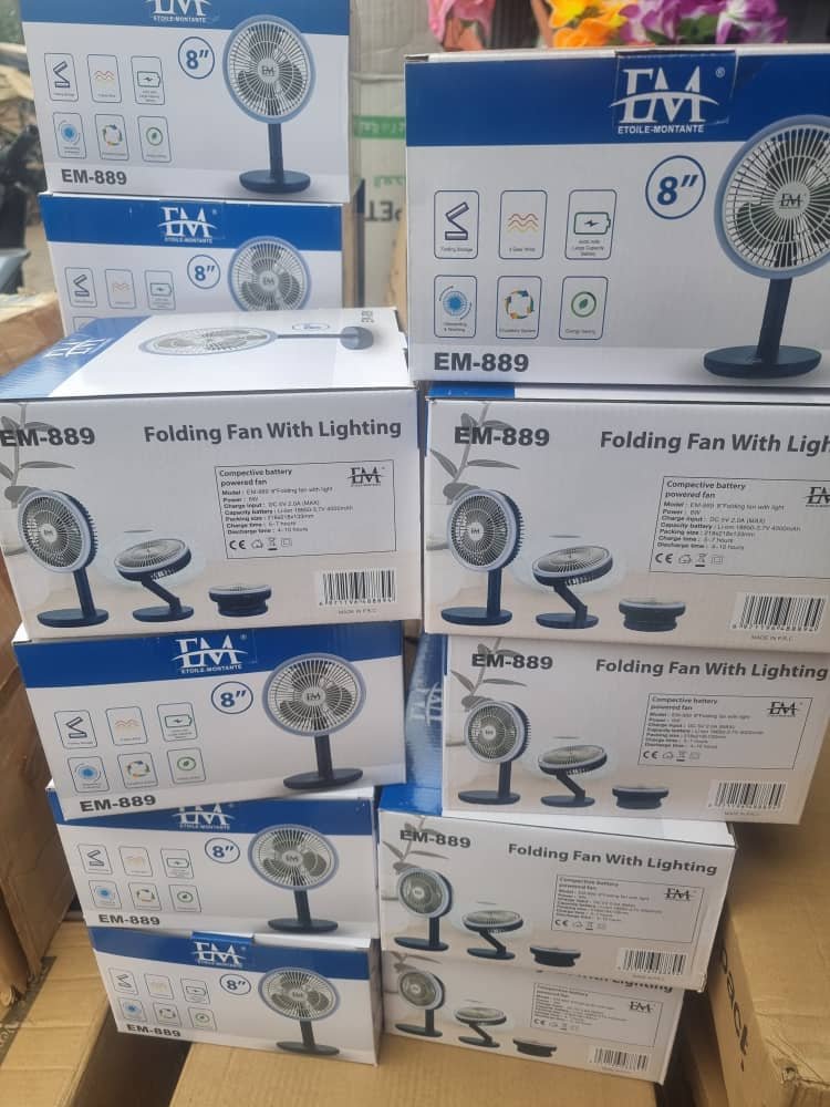 VENTILATEUR + LUMIÈRE LED 2 EN 1 (EM-889)