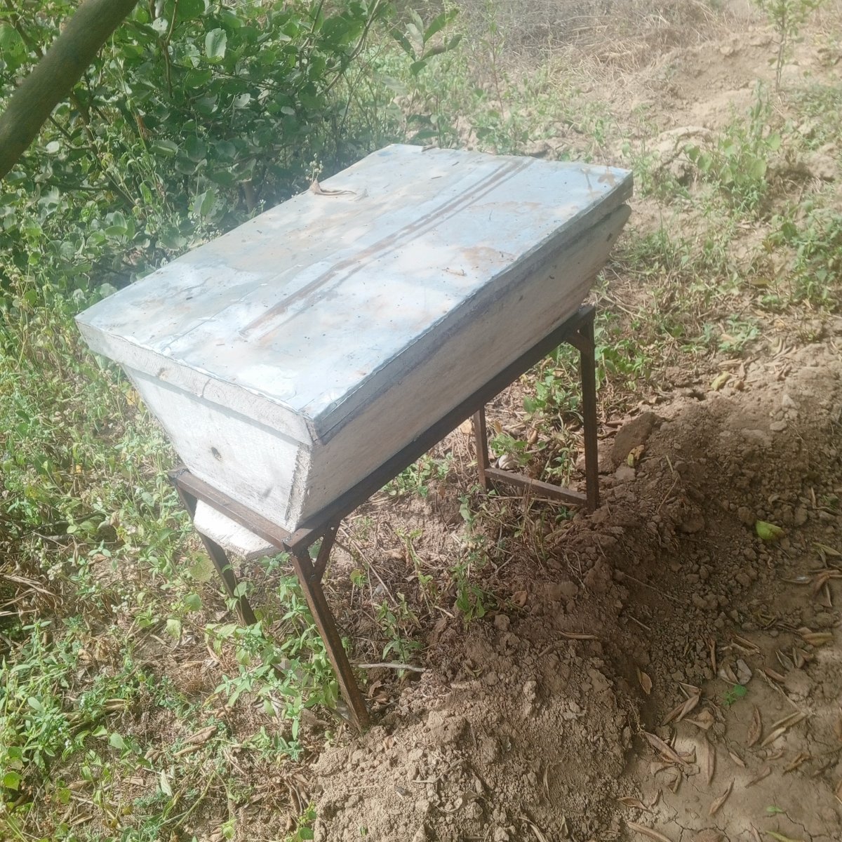 Ruche d'abeille kenyane