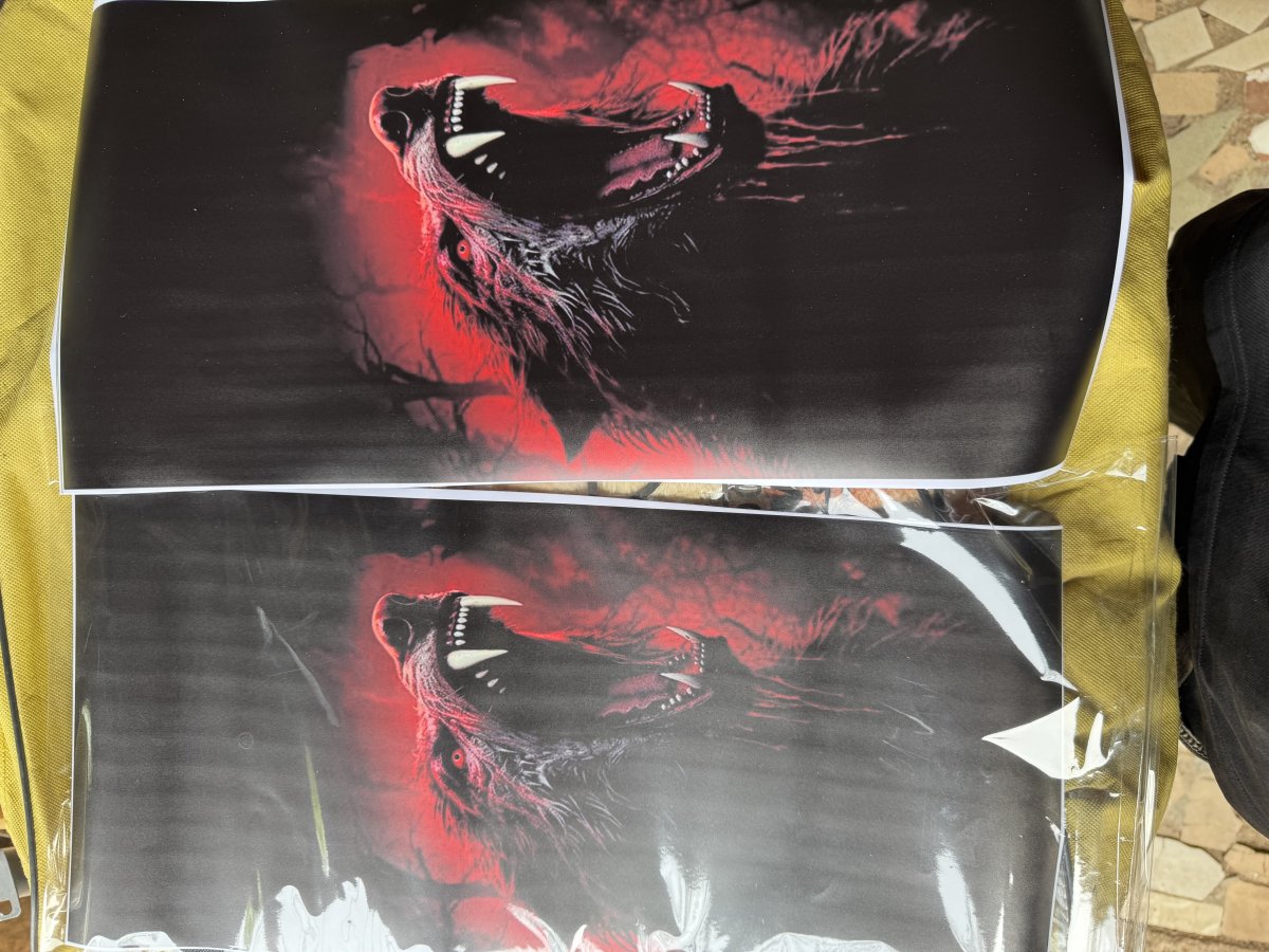 Autocollant de pilier de porte de voiture en PVC imperméable et écologique de haute qualité de la marque Changyuanrong, design animal 3D, 25x50cm, pour vitre de voiture