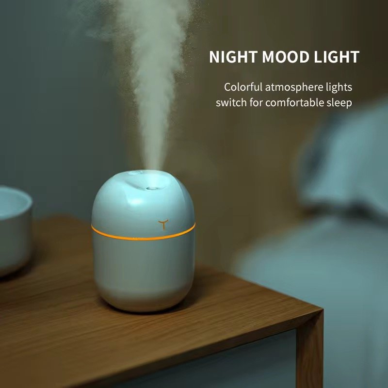 Mini diffuseur