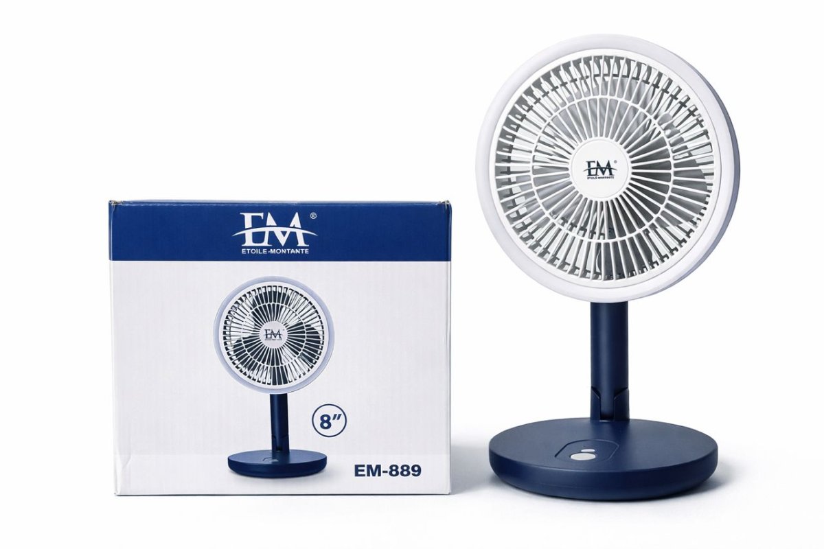 VENTILATEUR + LUMIÈRE LED 2 EN 1 (EM-889)