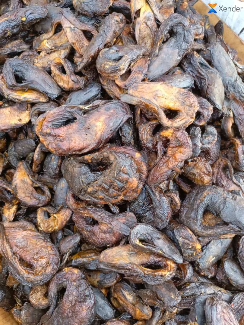 Poison