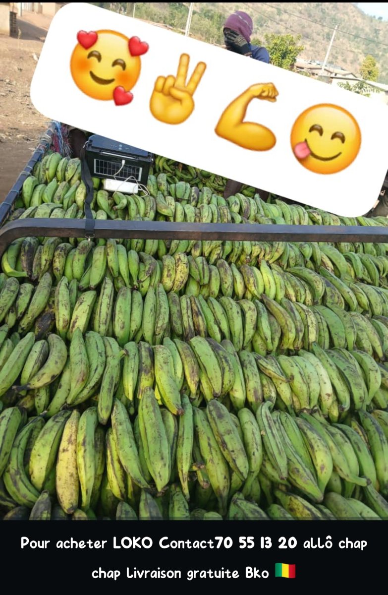 LOKO🍌 Avocat 🥑