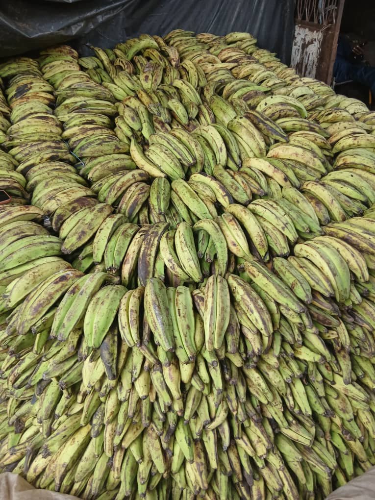LOKO 🍌 Banane plantain 🍌