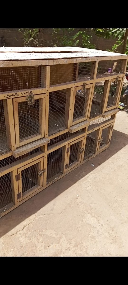 Cage