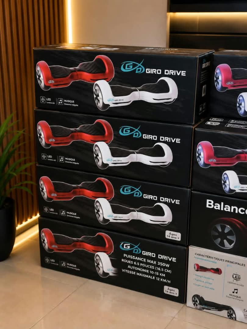 Hoverboard électrique