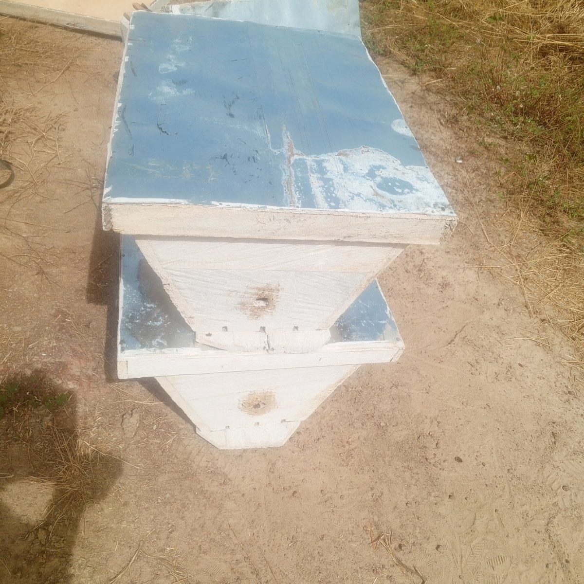 Ruche d'abeille kenyane