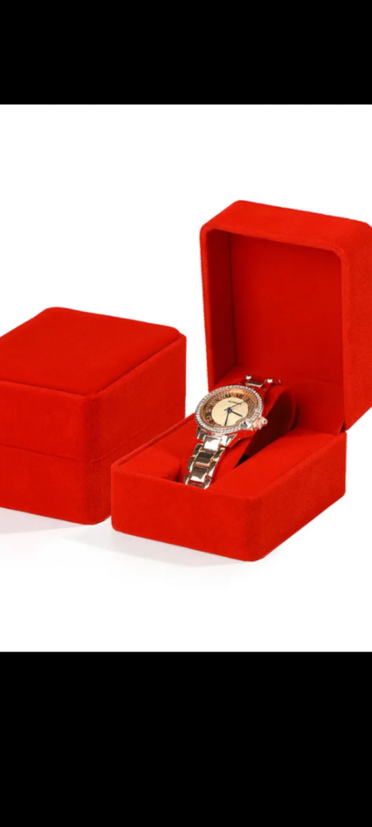 Montre de luxe homme et femme