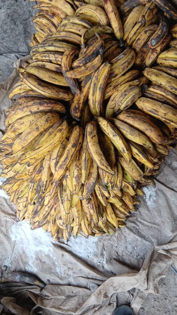 LOKO 🍌 Banane plantain 🍌