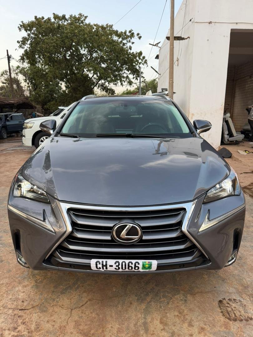 voiture LEXUS NX200T
