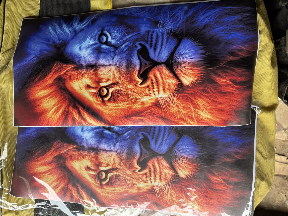 Autocollant de pilier de porte de voiture en PVC imperméable et écologique de haute qualité de la marque Changyuanrong, design animal 3D, 25x50cm, pour vitre de voiture