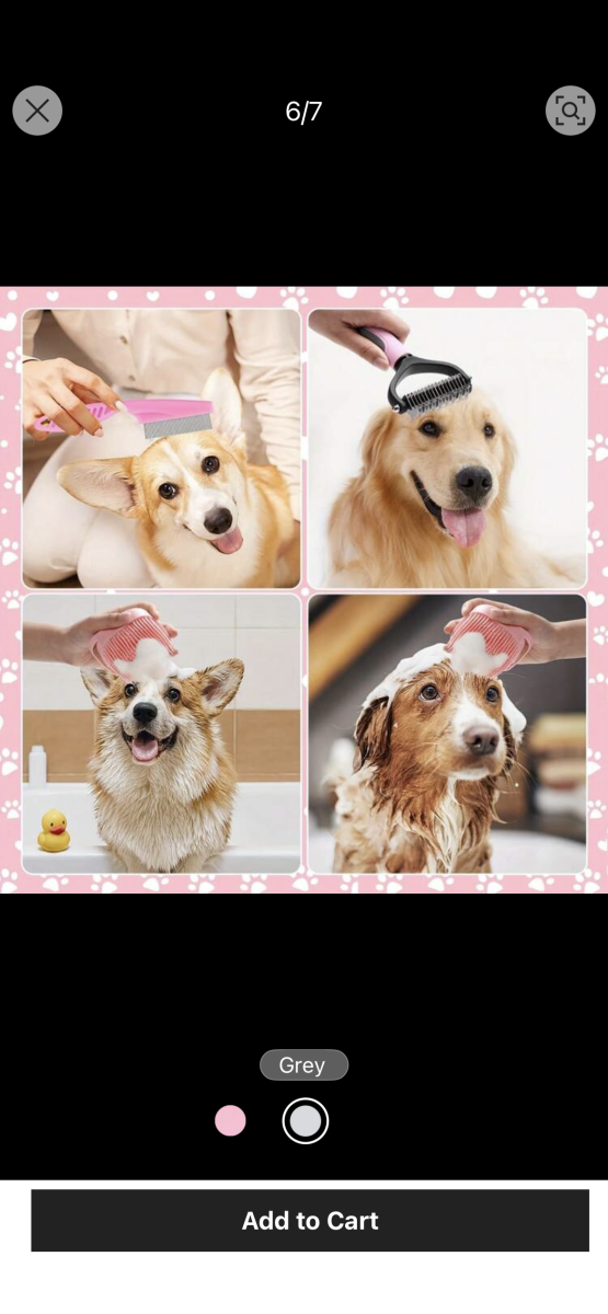 Ensemble de toilettage animaux