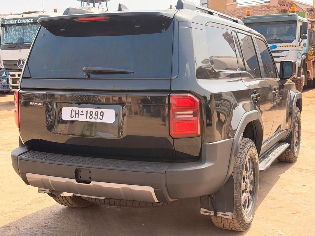 Prado 2025