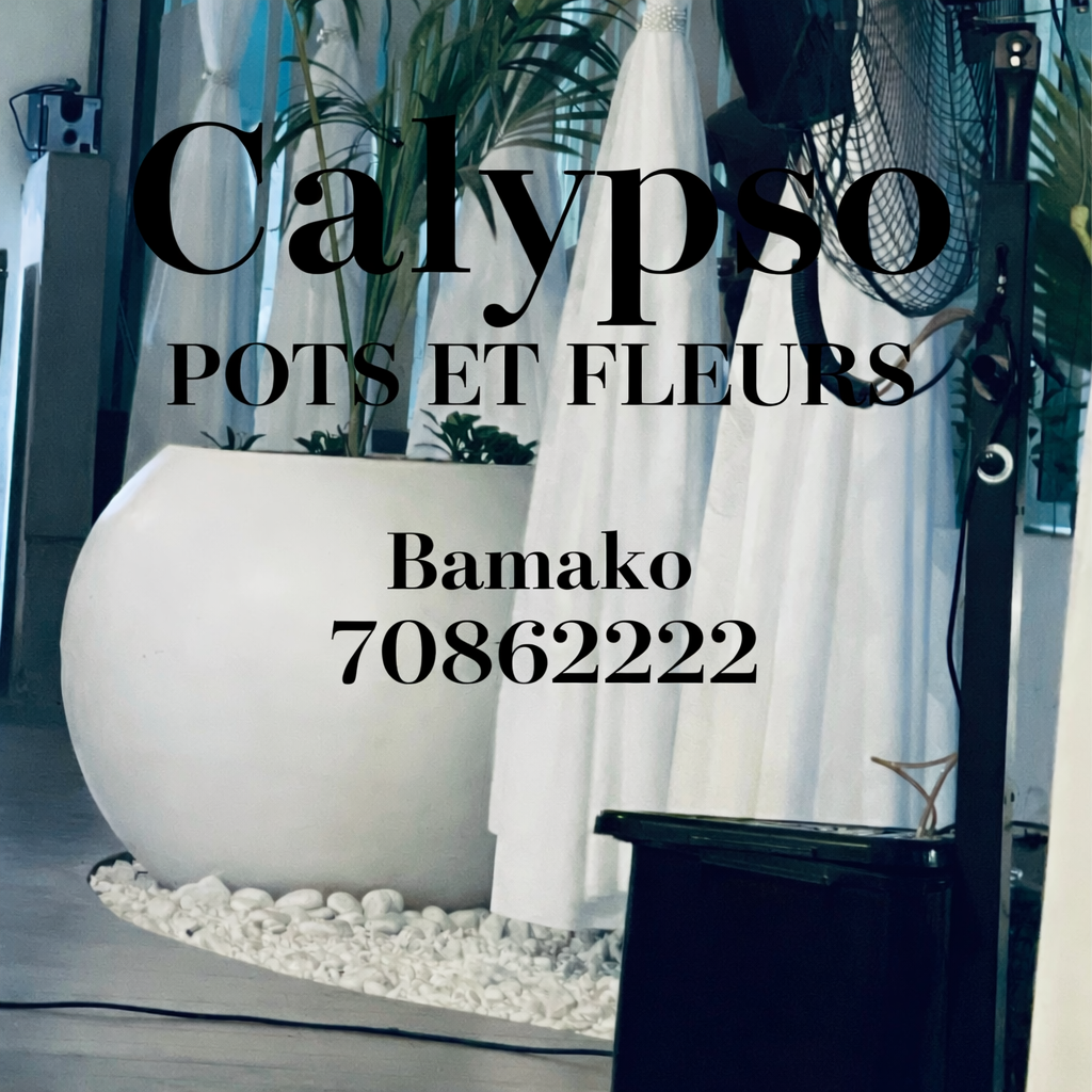 Pots de fleurs à Bamako
