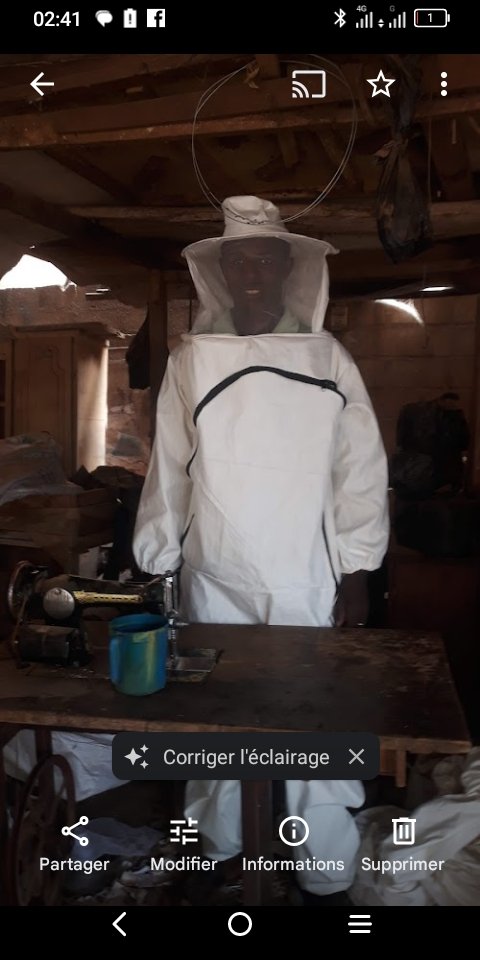 Des combinaisons d'apiculture