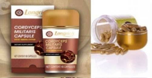Cordyceps millitaris