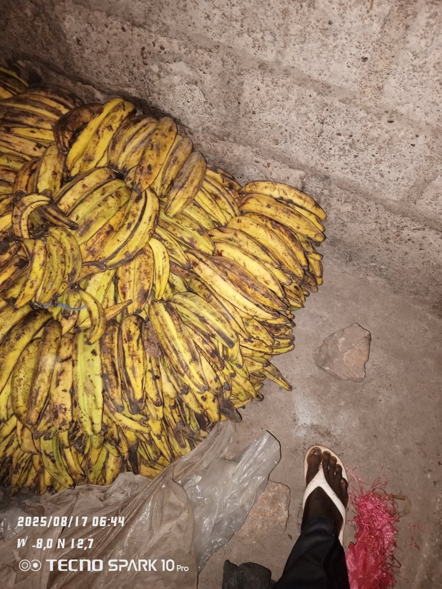 LOKO 🍌 Banane plantain 🍌