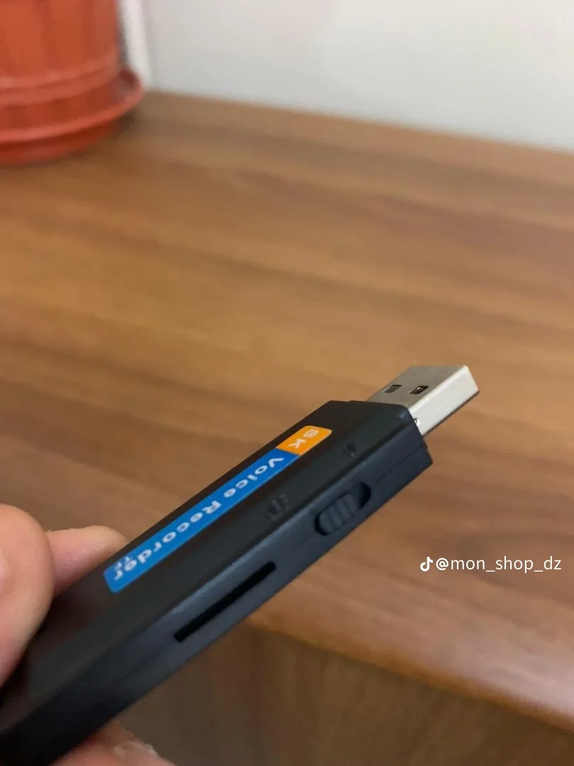 Mini enregistrement audio