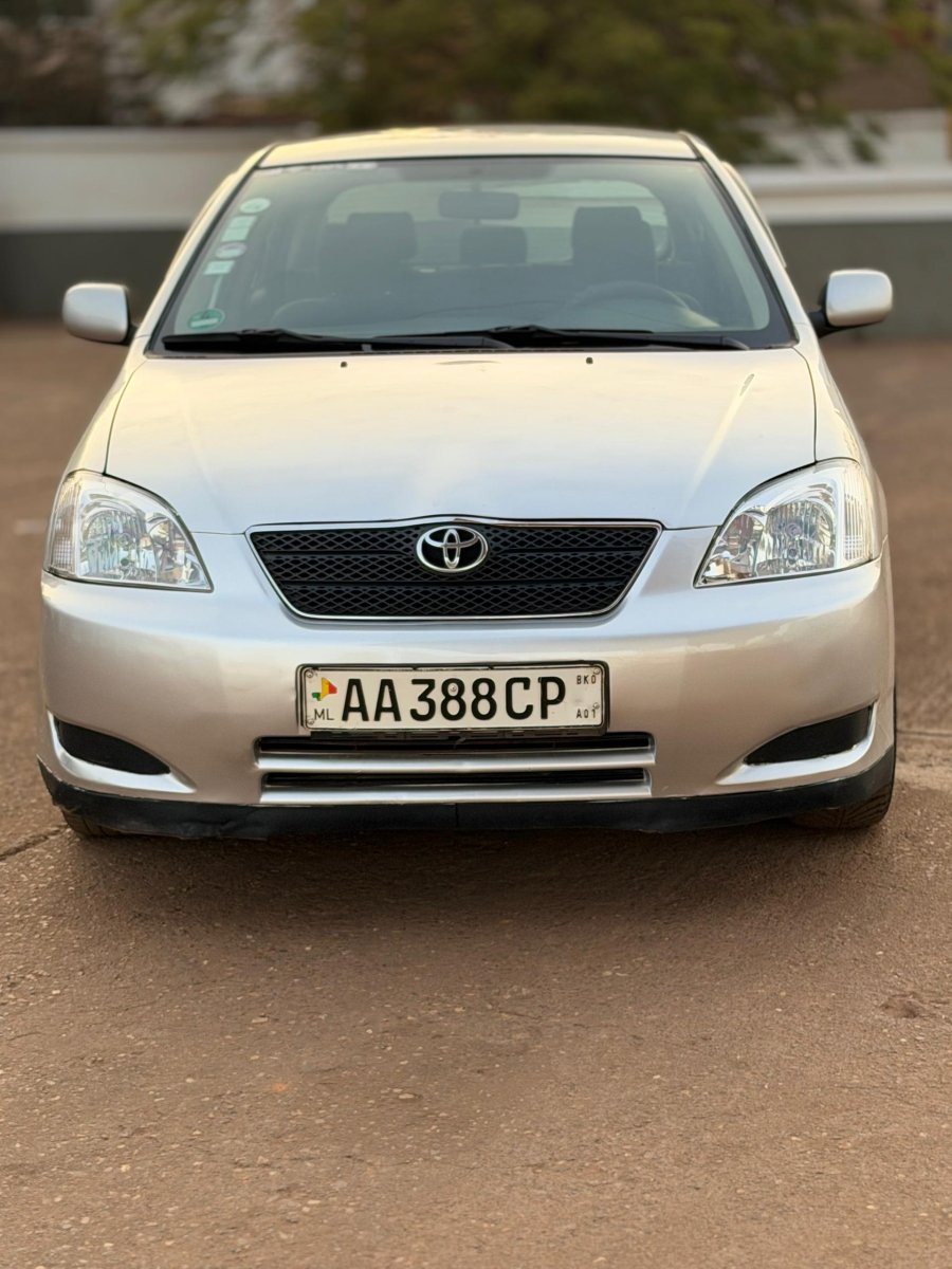 Toyota Corolla Drogba 2004